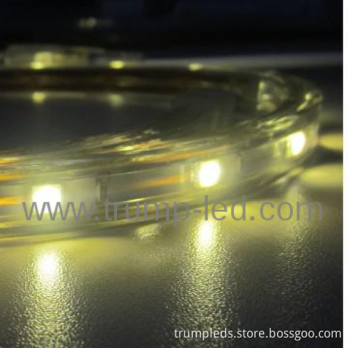 100-240v SMD High voltage led strip lights